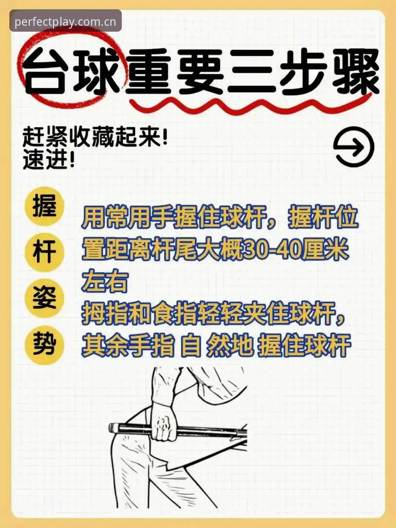 完美体育使用教程：从零开始的完整指南与实战技巧